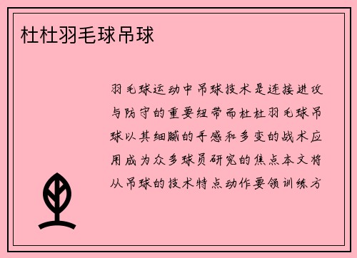 杜杜羽毛球吊球