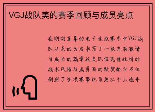 VGJ战队美的赛季回顾与成员亮点